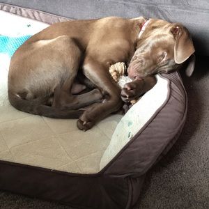 Meet your Posher, Almeida